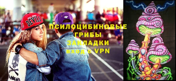 амф Абаза