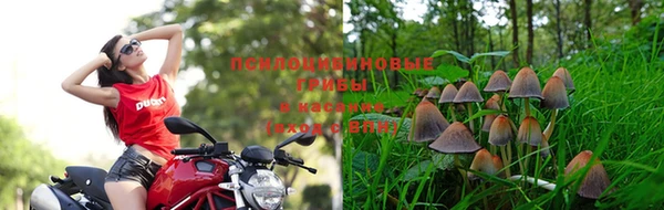 экстази Абдулино