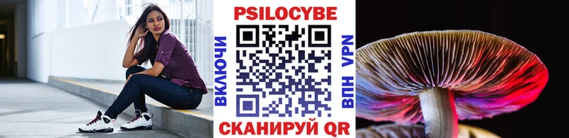 Псилоцибиновые грибы прущие грибы  хочу   Шилка 